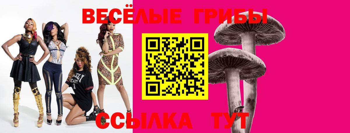 Лесозаводск  Псилоцибиновые грибы прущие грибы  Вход с VPN 