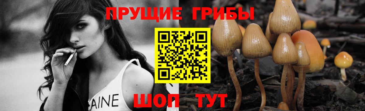 Псилоцибиновые грибы Cubensis Лесозаводск